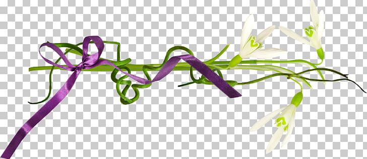 Flower Plant Stem Leaf Font PNG, Clipart, Flora, Flower, Grass, Leaf, Line Free PNG Download