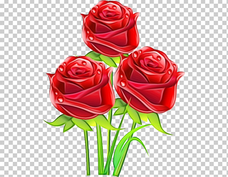 Garden Roses PNG, Clipart, Bouquet, Bud, Camellia, Cut Flowers, Floral Design Free PNG Download