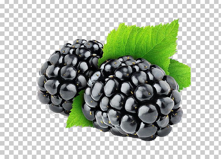Blackberry Raspberry Amora Fruit PNG, Clipart, Amor, Auglis, Berry, Bilberry, Blackberry Free PNG Download