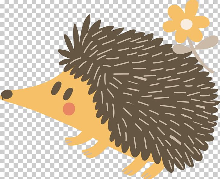 Hedgehog Porcupine Echidna Illustration PNG, Clipart, Animals, Beak, Bug Bounty Program, Cartoon, Child Free PNG Download
