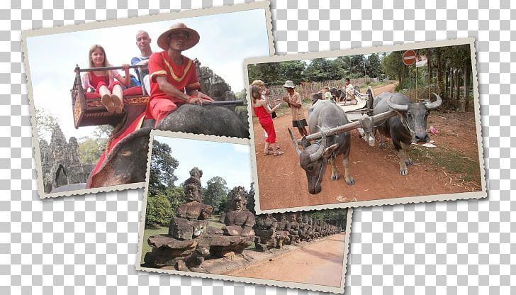 Recreation PNG, Clipart, Angkor Wat, Recreation Free PNG Download