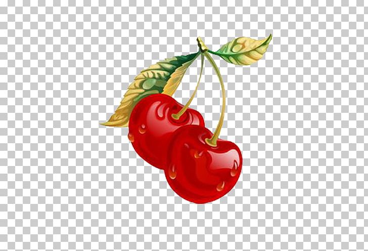 Cherry Chinese Cuisine Fruit Soup PNG, Clipart, Balloon Cartoon, Cartoon, Cartoon Character, Cartoon Couple, Cartoon Eyes Free PNG Download