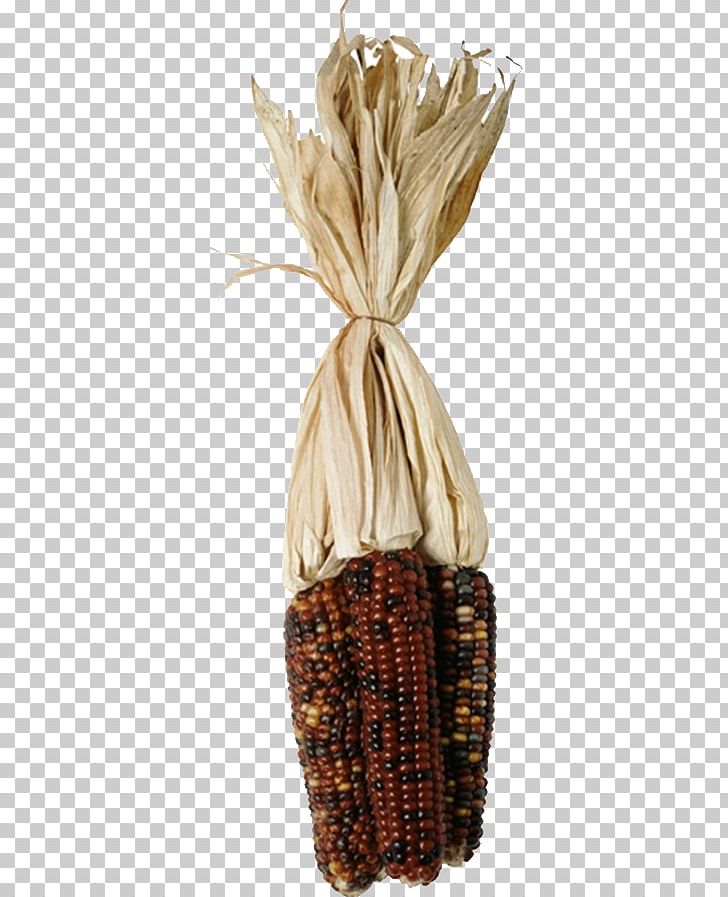 Corn On The Cob Maize Food PNG, Clipart, Basket, Cartoon Corn, Color, Color Depth, Commodity Free PNG Download