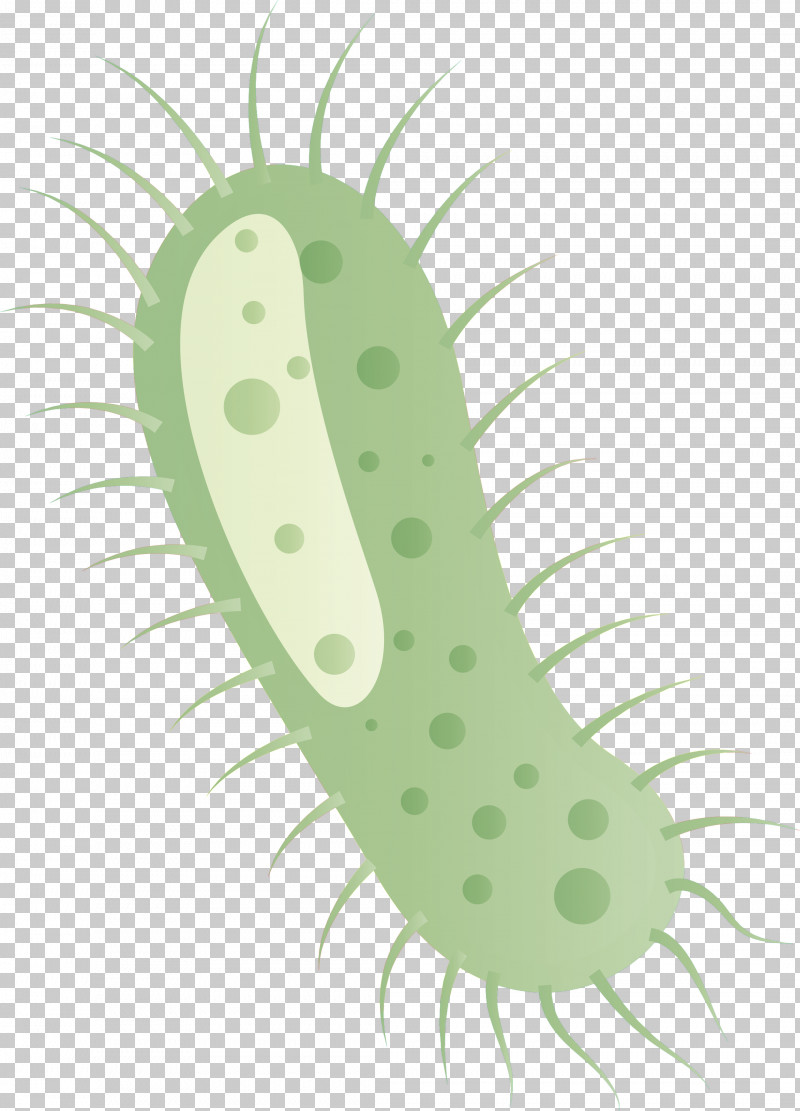 Coronavirus Corona COVID PNG, Clipart, Corona, Coronavirus, Covid, Cucumber, Cucumis Free PNG Download