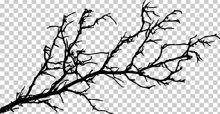 Branch Tree Silhouette Twig PNG, Clipart, Beak, Bird, Black And White ...
