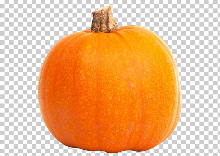 Calabaza Pumpkin Cucurbita PNG, Clipart, Calabaza, Chayote, Commodity, Computer Icons, Cucumber Gourd And Melon Family Free PNG Download