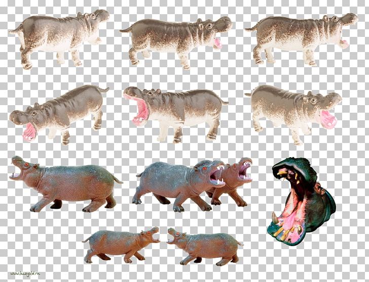 Hippopotamus Wildlife PNG, Clipart, Animal, Animal Figure, Carnivoran, Consonant, Fauna Free PNG Download
