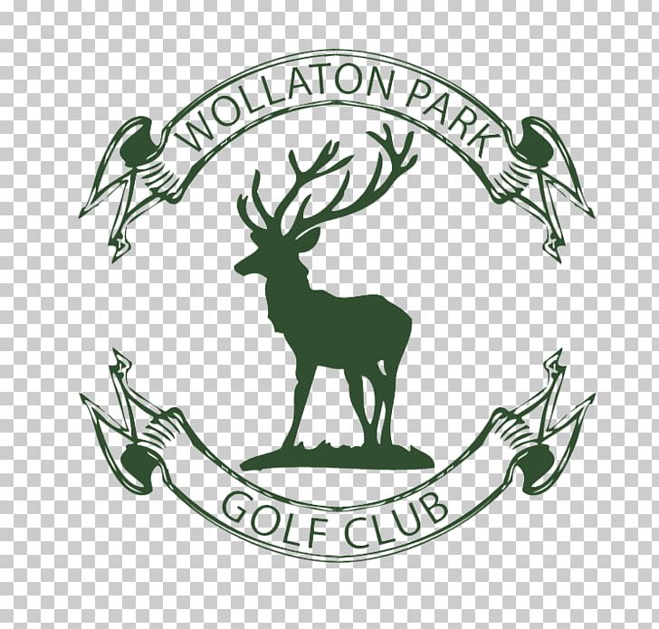 Reindeer Wollaton Park Golf Club Golf Course Golf Tees PNG, Clipart,  Free PNG Download