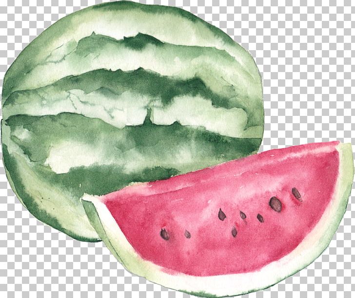 Watercolor Painting Lychee Illustration PNG, Clipart, Adobe Illustrator, Auglis, Cartoon, Citrullus, Cucumber Gourd And Melon Family Free PNG Download