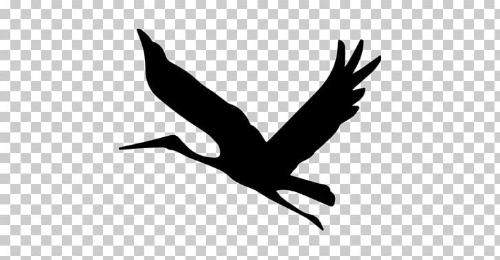 Bird Computer Icons Mallard PNG, Clipart, Animal, Animals, Beak, Bird, Bird Fly Free PNG Download