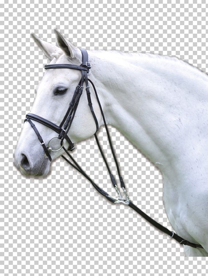 Horse Equestrian Chambon Longeing Rein PNG, Clipart, Animals, Bit, Bridle, Chambon, English Riding Free PNG Download