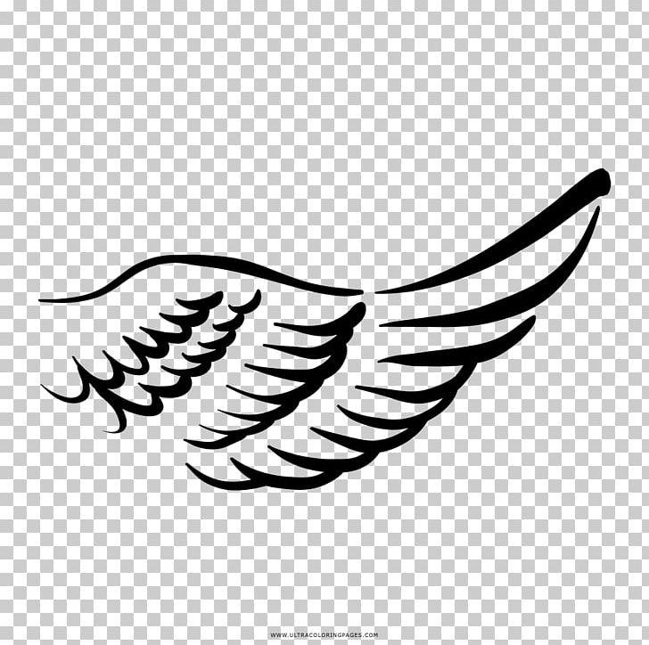 Coloring Book Drawing History Beak PNG, Clipart, Asa De Anjo, Beak, Bird, Bird Of Prey, Black And White Free PNG Download