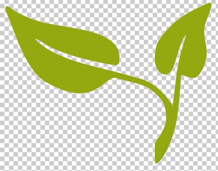 Computer Icons Ecology PNG, Clipart, Computer Icons, Ecology, Flora, Flower, Food Free PNG Download