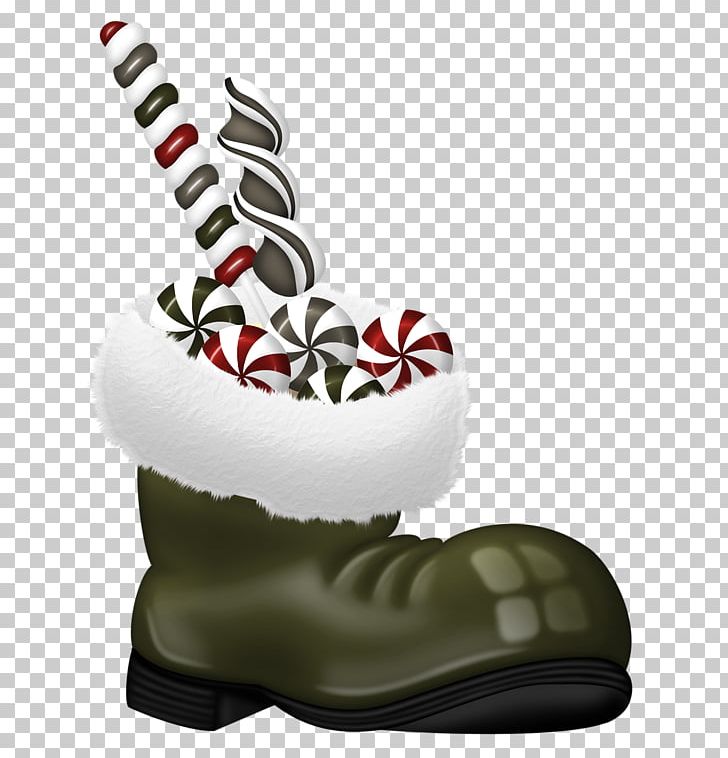 Plant Shoe PNG, Clipart, Christmas, Food Drinks, Footwear, Fuzzy, Outdoor Shoe Free PNG Download