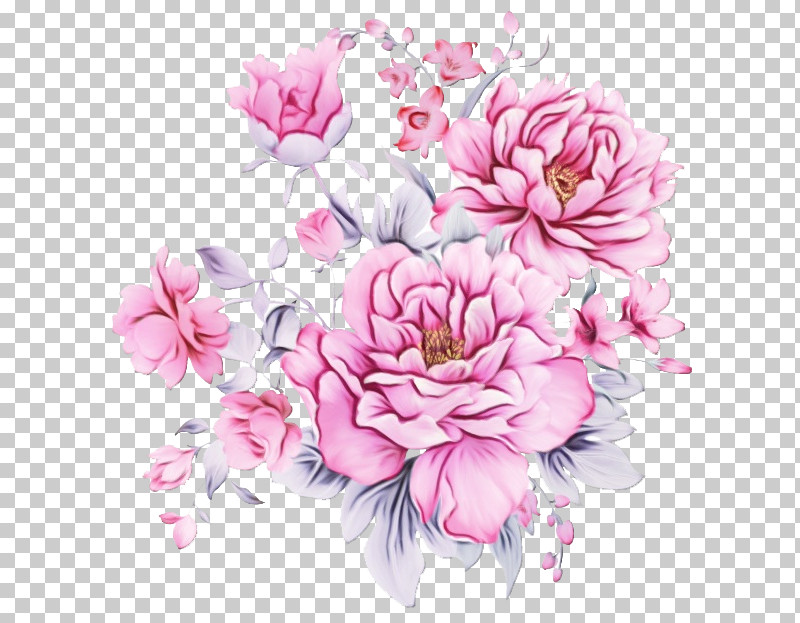 Floral Design PNG, Clipart, Blossom, Bouquet, Chinese Peony, Common Peony, Cut Flowers Free PNG Download