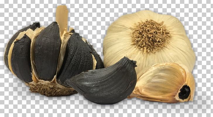 Black Garlic Food Ajos Pedroñete Vegetarian Cuisine PNG, Clipart, Black Garlic, Canning, Cocker Spaniel, English Cocker Spaniel, Food Free PNG Download