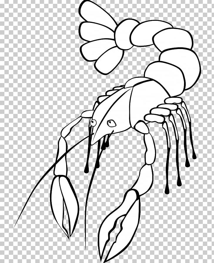 Crayfish Free Content PNG, Clipart, Angle, Area, Arm, Art, Black Free PNG Download