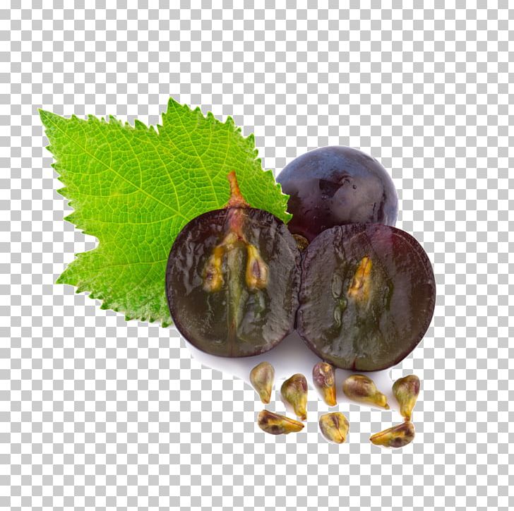 Grape Seed Oil Skin Care Grape Seed Extract PNG, Clipart, Antioxidant, Avocado Oil, Cleanser, Essential Oil, Extract Free PNG Download