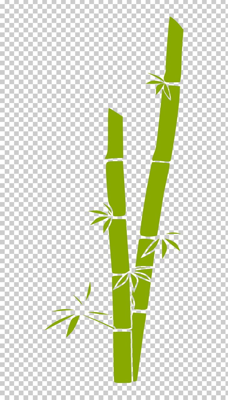 Bamboo Euclidean PNG, Clipart, Angle, Bamboe, Bamboo, Bamboo Cliparts, Euclidean Vector Free PNG Download
