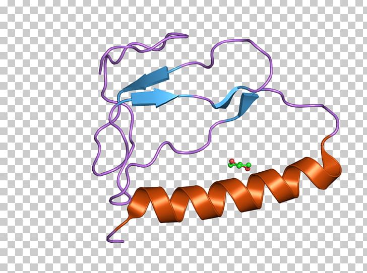 IGFBP1 Insulin-like Growth Factor-binding Protein Insulin-like Growth Factor Binding Protein 1 PNG, Clipart, 3 C, Area, Binding Protein, Domain, Factor Free PNG Download