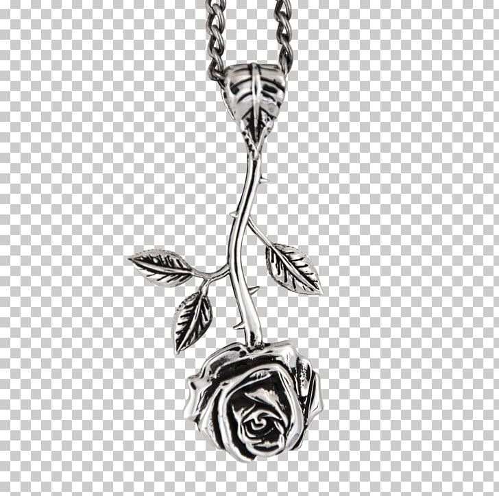 Locket Necklace Charms & Pendants Gold Rose PNG, Clipart, Black And White, Body Jewelry, Chain, Charm Bracelet, Charms Pendants Free PNG Download