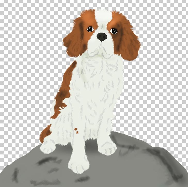 Cavalier King Charles Spaniel English Cocker Spaniel Dog Breed Chihuahua PNG, Clipart, Animals, Bae, Breed, Bulldog, Carnivoran Free PNG Download