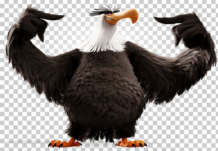 Mighty Eagle YouTube Angry Birds Stella Angry Birds Seasons PNG, Clipart, Angry Birds, Angry Birds Movie, Angry Birds Seasons, Angry Birds Stella, Beak Free PNG Download