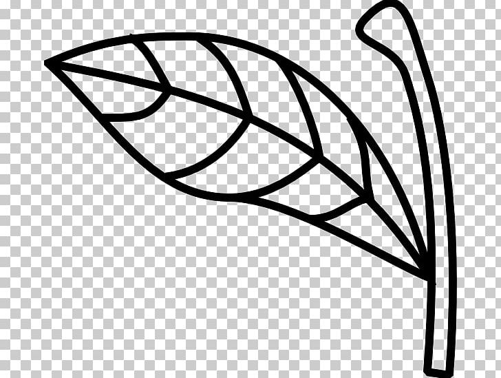 Plant Stem Leaf PNG, Clipart, Angle, Apple, Area, Black And White, Branch Free PNG Download