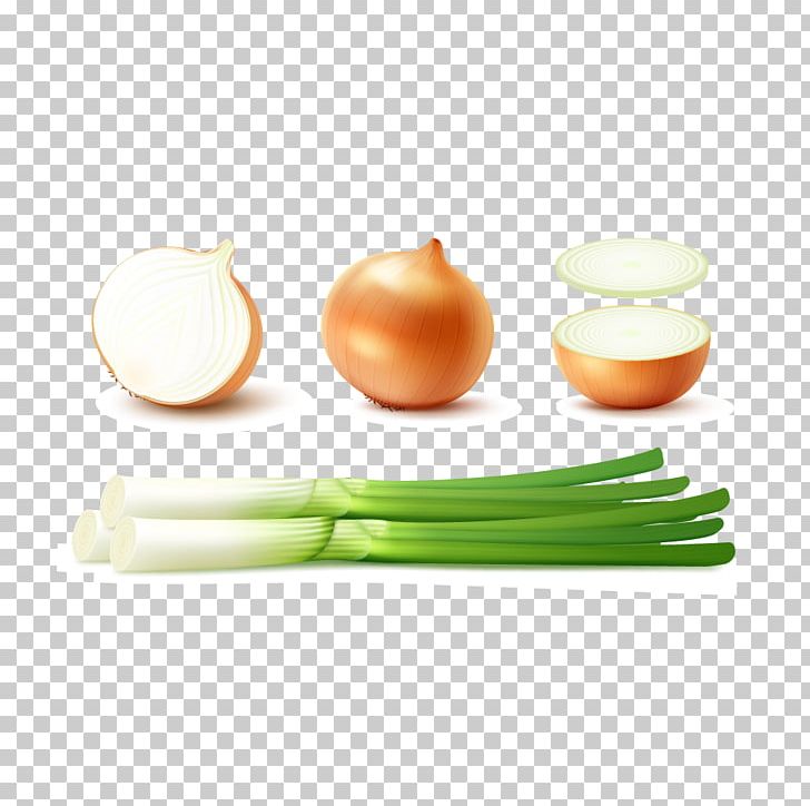 Shallot Potato Onion Yellow Onion Red Onion PNG, Clipart, Bulb, Chopped Green Onions, Cup, Food, Fruit And Vegetable Free PNG Download