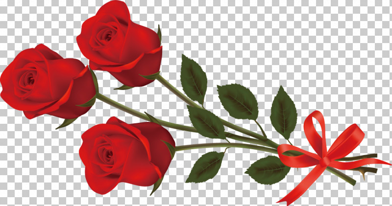 Three Flowers Three Roses Valentines Day PNG, Clipart, Austrian Briar, Bud, Carmine, Cut Flowers, Floribunda Free PNG Download