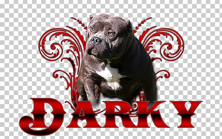 American Pit Bull Terrier American Bully Puppy Dog Breed PNG, Clipart, American Bully, American Pit Bull Terrier, Breed, Breeder, Bullying Free PNG Download