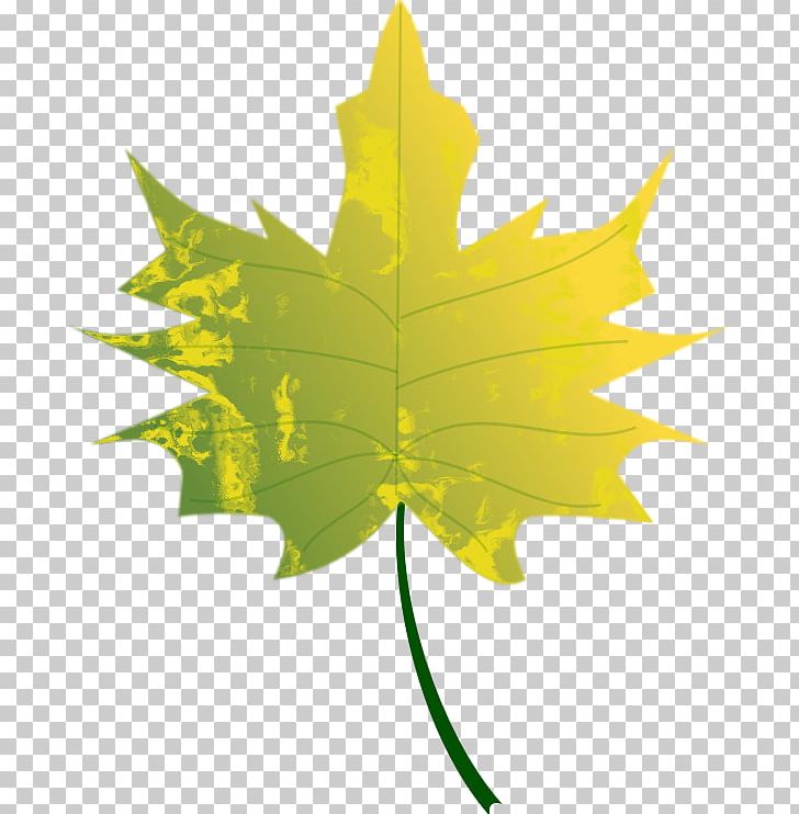 Autumn Leaf Color PNG, Clipart, Art, Autumn, Autumn Leaf Color, Color, Desktop Wallpaper Free PNG Download