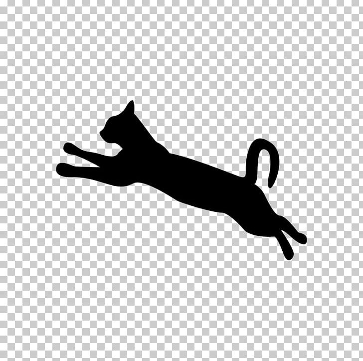 Cat Dog Silhouette PNG, Clipart, Animals, Black, Black And White, Black Cat, Carnivoran Free PNG Download