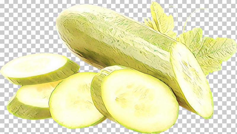 Cucumber Vegetable Food Pepino Plant PNG, Clipart, Cucumber, Cucumber Gourd And Melon Family, Cucumis, Food, Pepino Free PNG Download