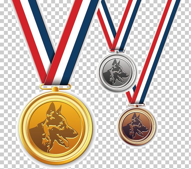 Gold Medal Cartoon PNG, Clipart, Award, Bronze Medal, Cartoon, Commend, Dog Free PNG Download