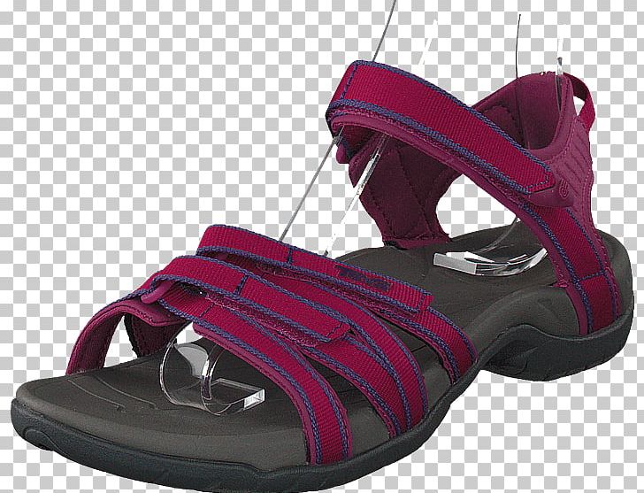 Shoe Shop Teva Sandal Sneakers PNG, Clipart, Boysenberry, Brandos, Canvas, Chuck Taylor, Chuck Taylor Allstars Free PNG Download