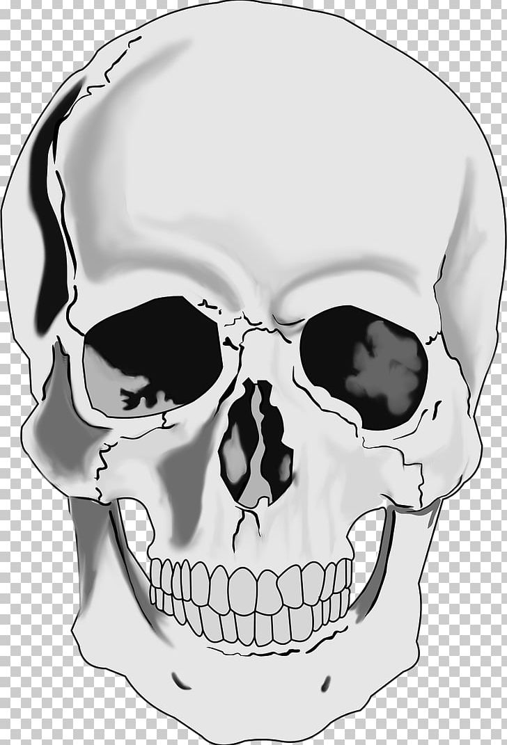 Skull Human Skeleton PNG, Clipart, Black And White, Bone, Can Stock Photo, Download, Drawing Free PNG Download