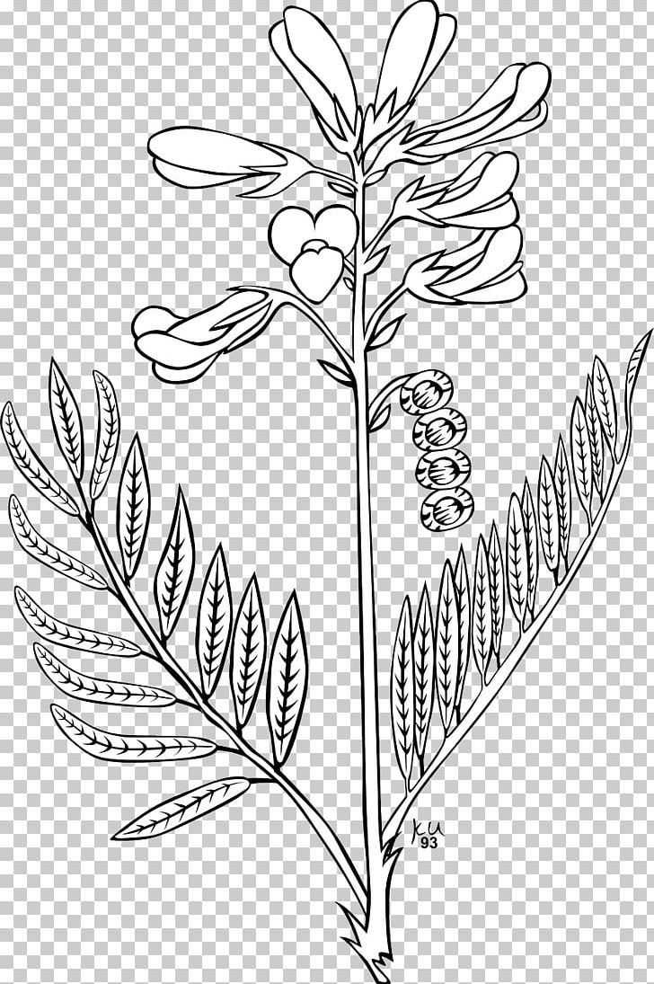 Leaf Branch Others PNG, Clipart, Black And White, Branch, Broom, Computer Icons, Desktop Wallpaper Free PNG Download