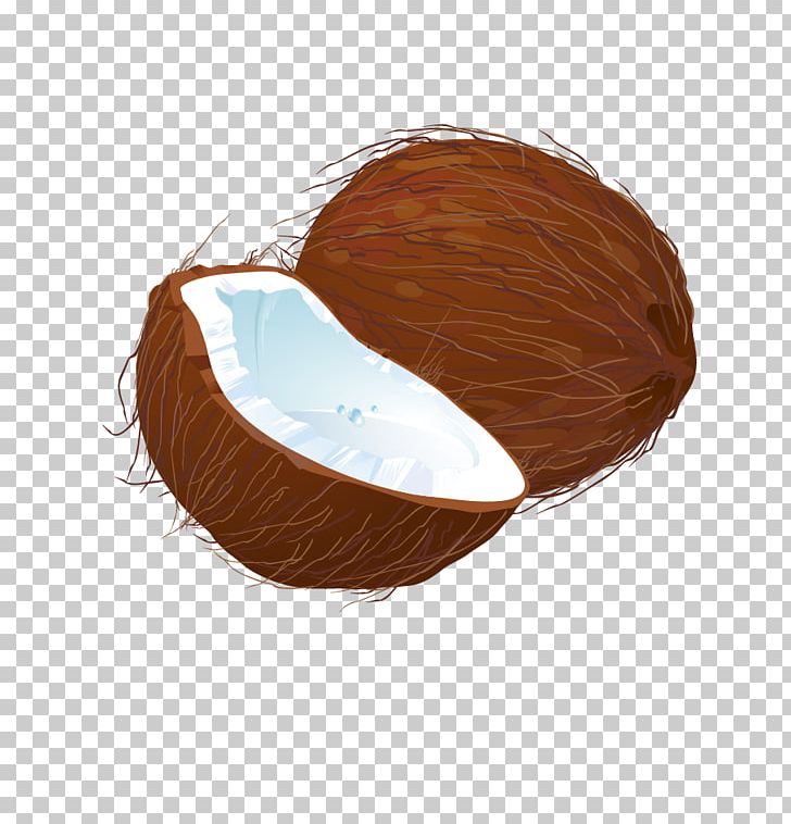 Coconut Euclidean PNG, Clipart, Android Application Package, Coconut Leaf, Coconut Leaves, Coconut Milk, Coconut Oil Free PNG Download