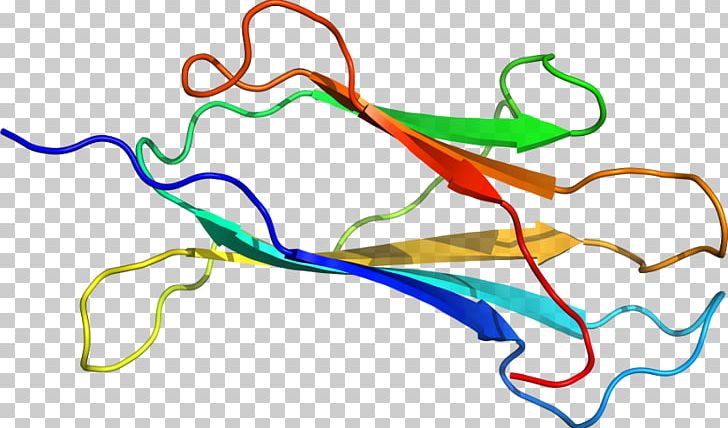 Line Art Point Organism PNG, Clipart, Area, Art, Artwork, Line, Line Art Free PNG Download