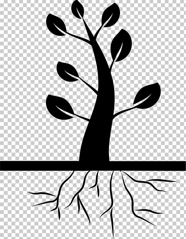 Tree Root Computer Icons PNG, Clipart, Artwork, Black, Black And White, Branch, Computer Icons Free PNG Download