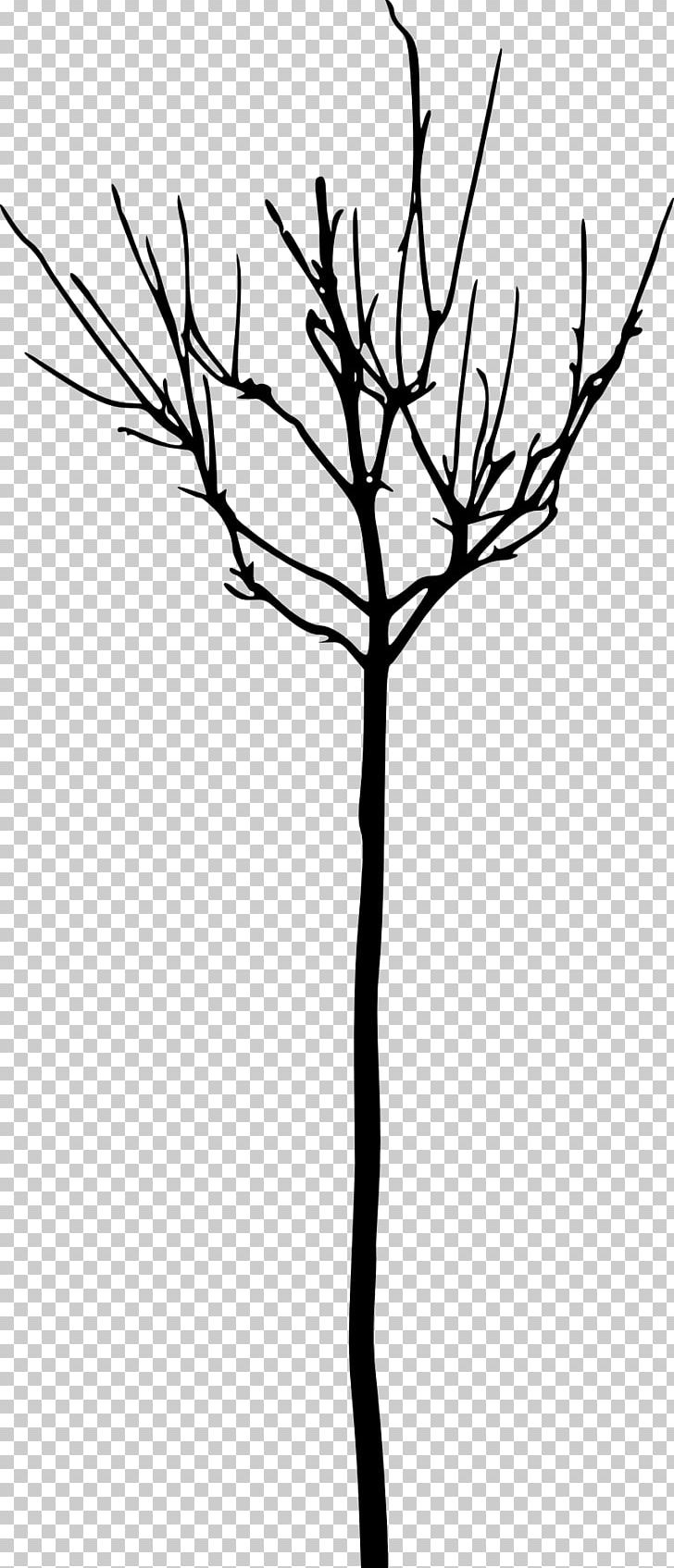 Tree Branch Woody Plant PNG, Clipart, Bare, Black And White, Branch, Clip Art, Drawing Free PNG Download