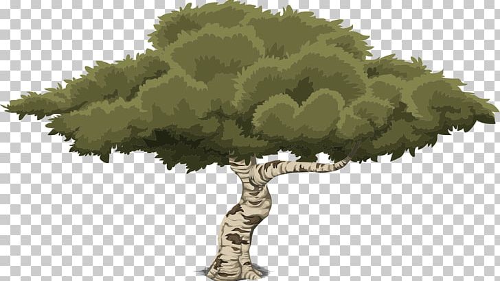 Tree Drawing PNG, Clipart, Branch, Computer Icons, Drawing, Flower, Grass Free PNG Download