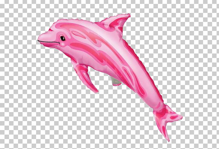 Amazon River Dolphin Balloon Birthday PNG, Clipart,  Free PNG Download