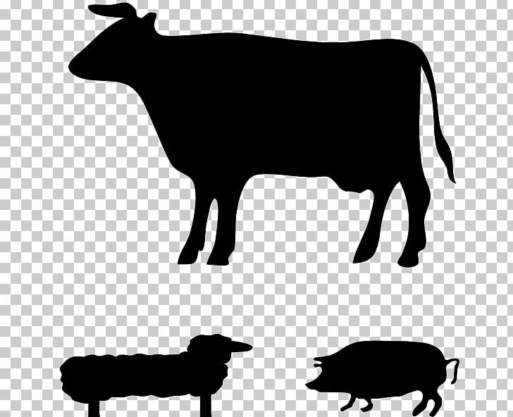 Angus Cattle Jersey Cattle Welsh Black Cattle Guernsey Cattle Holstein Friesian Cattle PNG, Clipart, Artwork, Beef Cattle, Black, Black And White, Black Baldy Free PNG Download