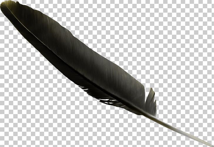 Feather Black PNG, Clipart, Animals, Background Black, Black, Black Background, Black Board Free PNG Download
