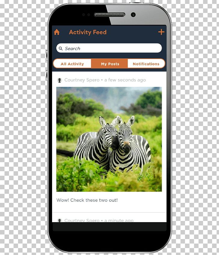 Kruger National Park Kenya Desktop Safari Travel PNG, Clipart, Accommodation, Africa, Creative Travel, Desktop Wallpaper, Display Resolution Free PNG Download