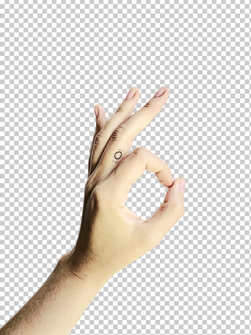 Hand Model Sign Language Language Hand Nail PNG, Clipart, Hand, Hand Model, Hm, Language, Nail Free PNG Download