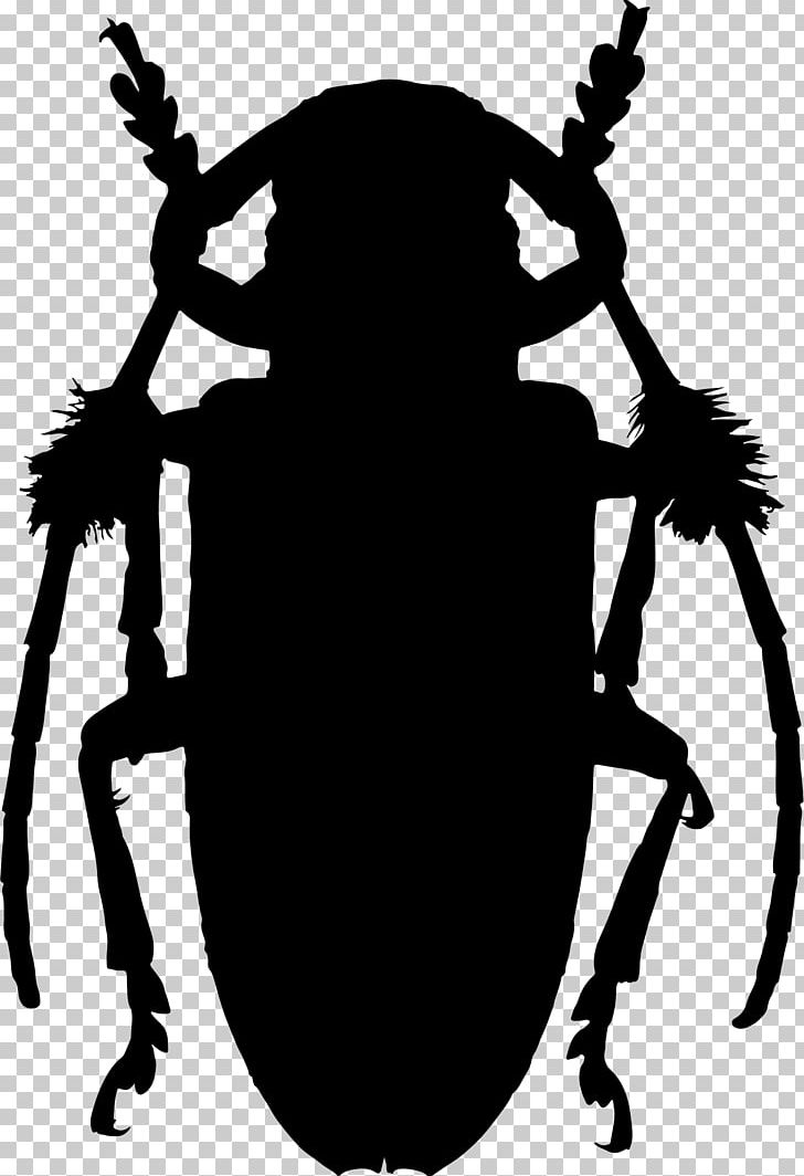 Beetle T-shirt Scarab Ladybird Lamiinae PNG, Clipart, Animals, Artwork, Beetle, Beetle Insect, Black And White Free PNG Download