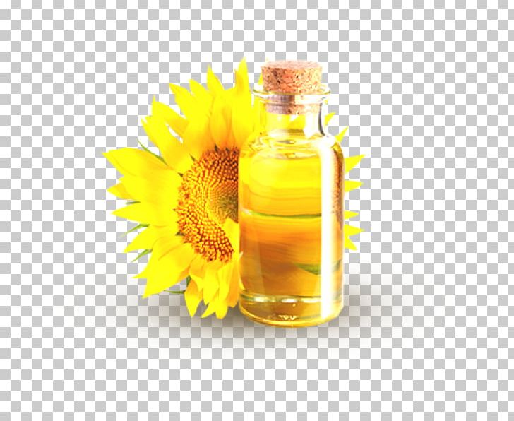 Common Sunflower Sunflower Oil Sunflower Seed Carrier Oil PNG, Clipart, Almond Oil, Canola, Carrier Oil, Coconut Oil, Common Sunflower Free PNG Download